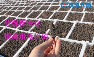 大家都用重量分揀機(jī)分選海參了！您還在用人工分選嗎？
