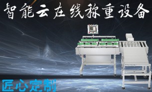 五金件自動(dòng)稱重秤哪家好？
