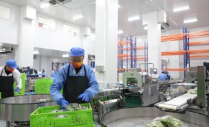 蔬菜配重機：解決人工成本與效率問題，助力蔬菜加工發(fā)展