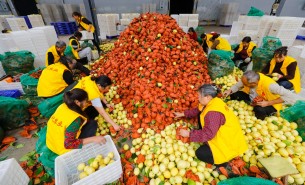 自動化分揀稱重設(shè)備：助力生鮮、凍貨及食品加工行業(yè)突破瓶頸